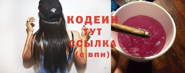 крисы Краснослободск