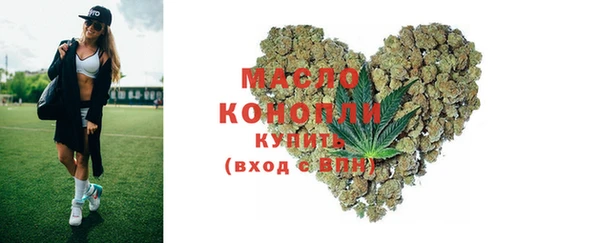 крисы Краснослободск