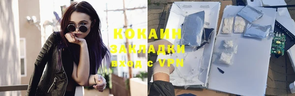 крисы Краснослободск