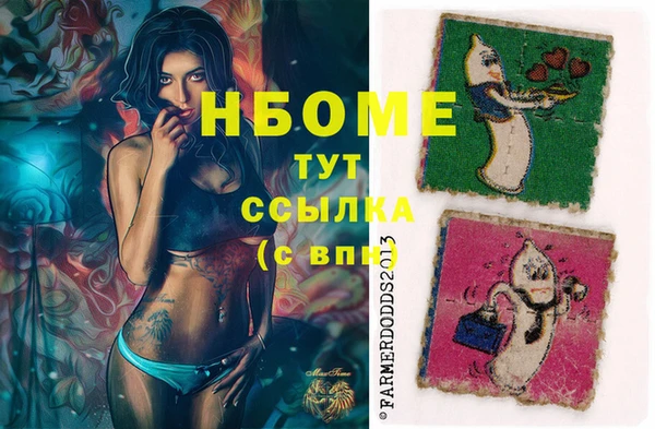 крисы Краснослободск