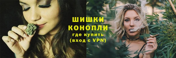 крисы Краснослободск