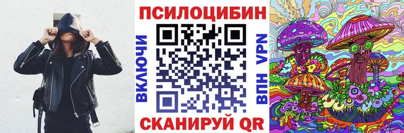 omg вход  Медвежьегорск  Галлюциногенные грибы Psilocybe 